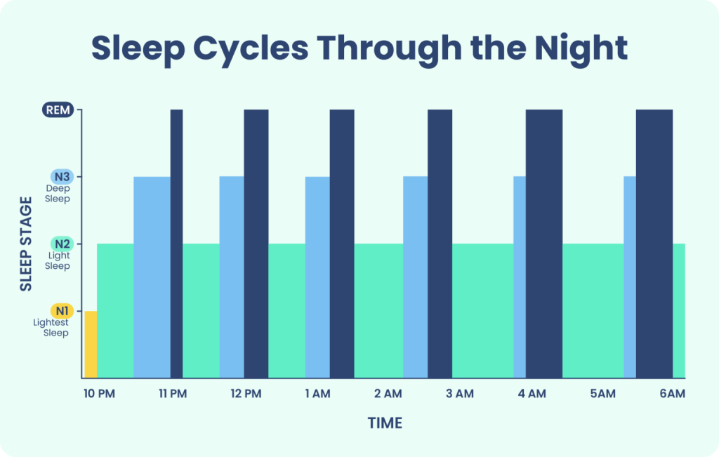 sleep cycles