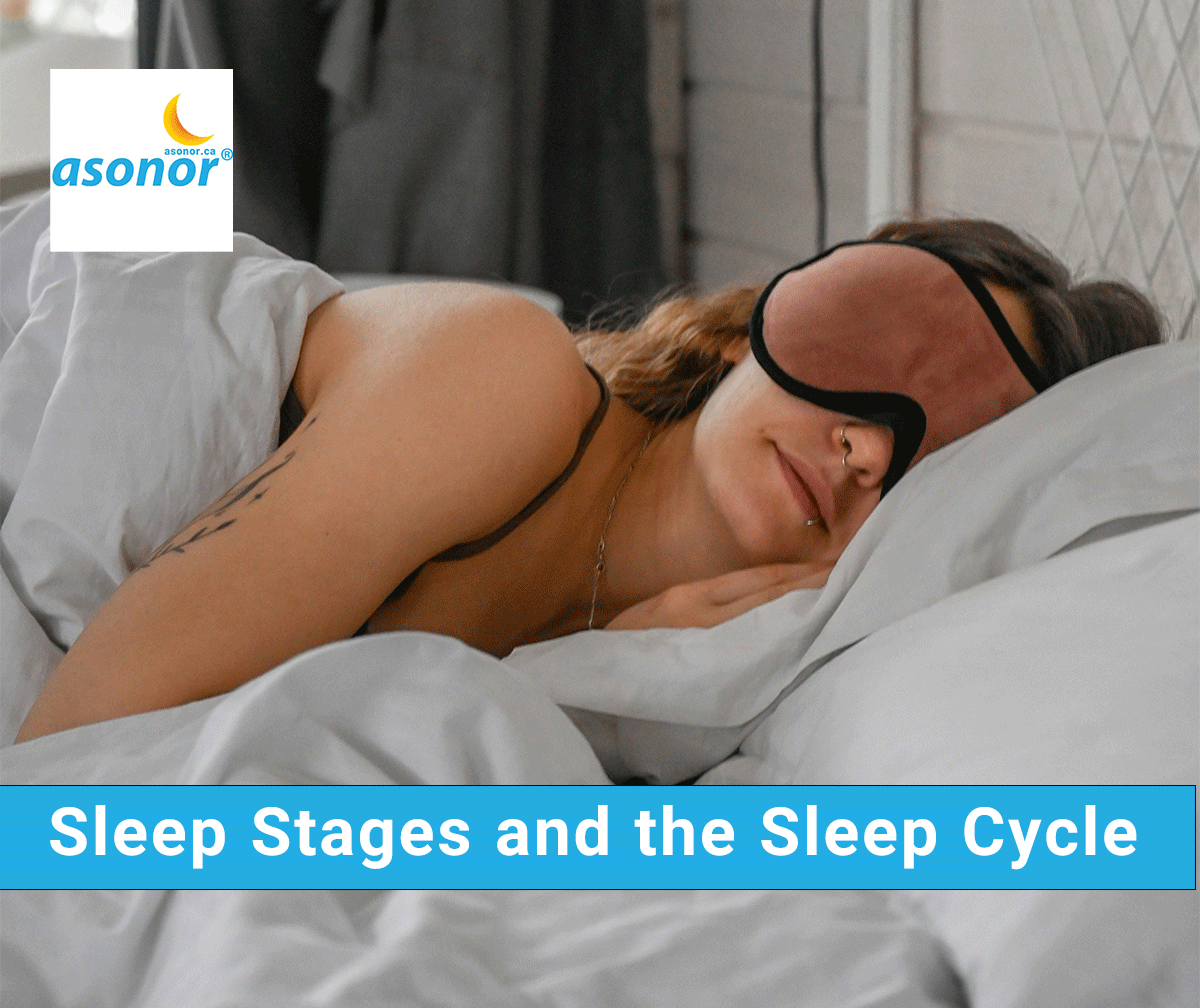 Sleep Stages and the Sleep Cycle